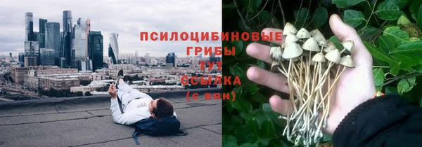 a pvp Верея